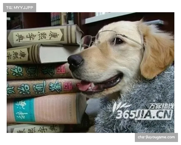 泰特：像猛犬一样拼搏是我们的座右铭 这种理念让人难以反对